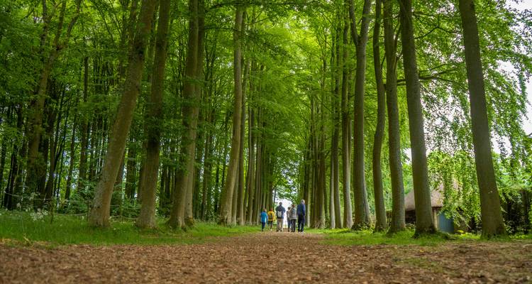 Pedalea por los Cotswolds y Oxford - Active England Tours 3