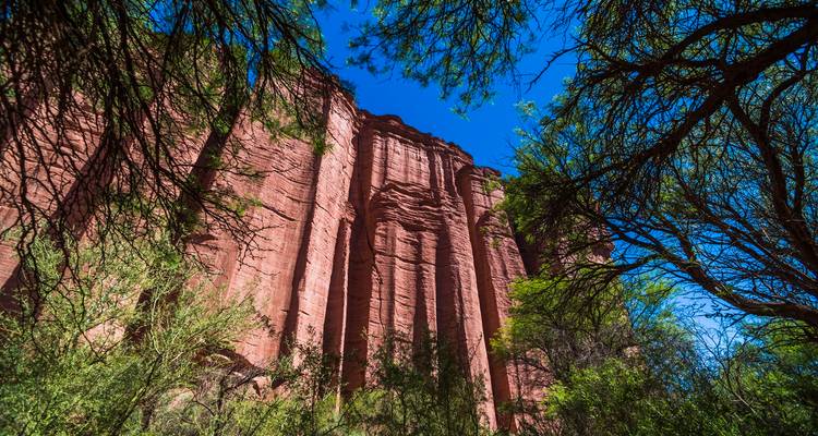 4-Days in the Argentine West: Ischigualasto National Park and Valley of the Moon - Signature DMC 4
