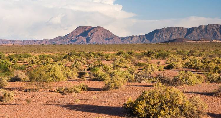 4-Days in the Argentine West: Ischigualasto National Park and Valley of the Moon - Signature DMC 6