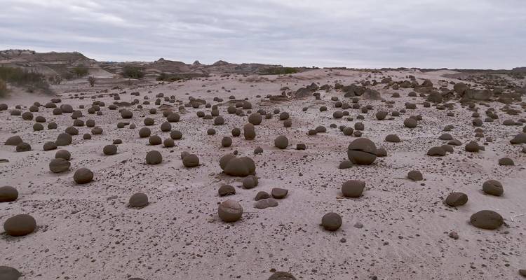 4-Days in the Argentine West: Ischigualasto National Park and Valley of the Moon - Signature DMC 7