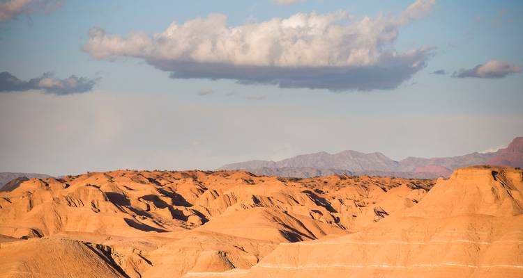 4-Days in the Argentine West: Ischigualasto National Park and Valley of the Moon - Signature DMC 8