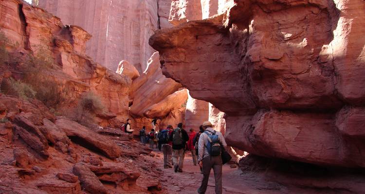 4-Days in the Argentine West: Ischigualasto National Park and Valley of the Moon - Signature DMC 10