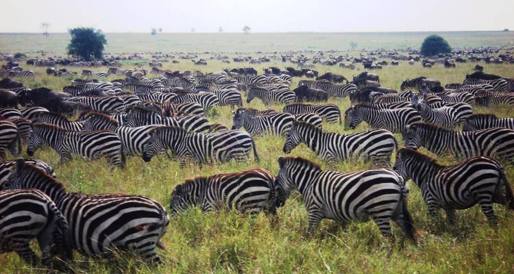 Tanzania Family Overland - Encounters Travel 7