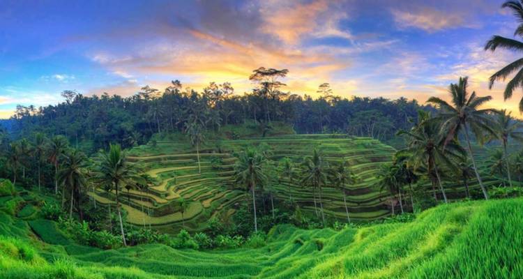 Circuito de Aventura Bali Clásico 9 Días (guía y conductor privados） - UME Travel Co. Ltd 2