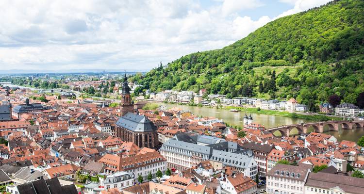 Vista aérea de Heidelberg con edificios históricos.