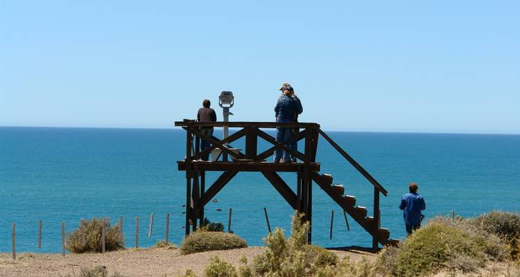 Des touristes sur une plateforme d'observation surplombant l'océan.