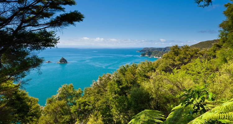 Verdant native forest frames a sweeping coastal vista of sapphire waters in Abel Tasman National Park.