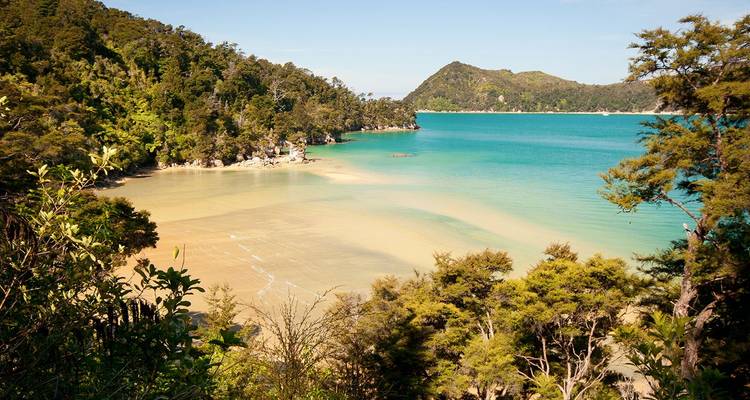 Turquoise baai omzoomd door dicht bos en wit zand in Abel Tasman National Park onder felle zonnestraling.