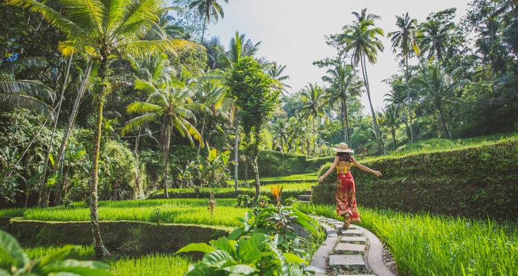Eine Frau, die durch üppige Reisterrassen wandelt, umgeben von Palmen.