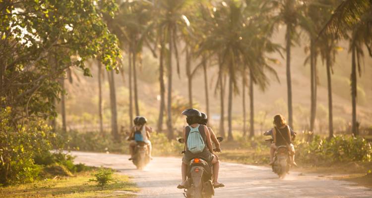 Menschen, die auf Rollern durch eine von Palmen gesäumte Landstraße bei Sonnenuntergang fahren.
