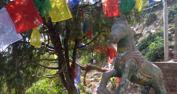Multi Adventure Kathmandu Nagarkot Lumbini  Pokhara Poonhill Trekking Tour - Amazing Authentic Treks  2