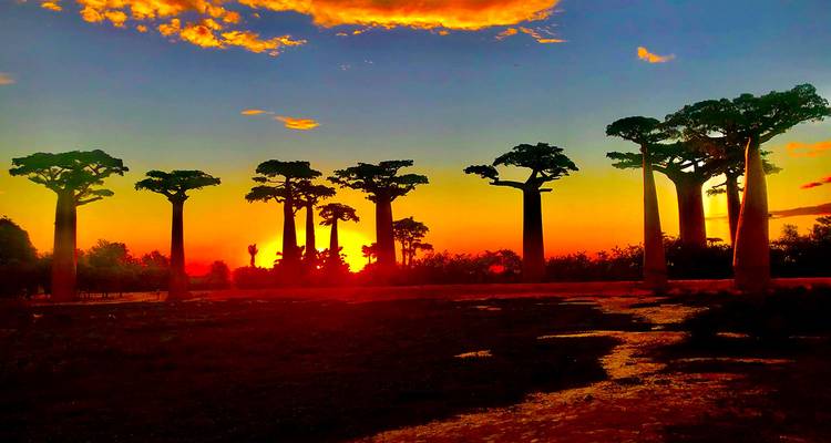 Circuit personnalisé de 11 jours à Madagascar en famille, départ quotidien et jeep privée - Agate Travel 8