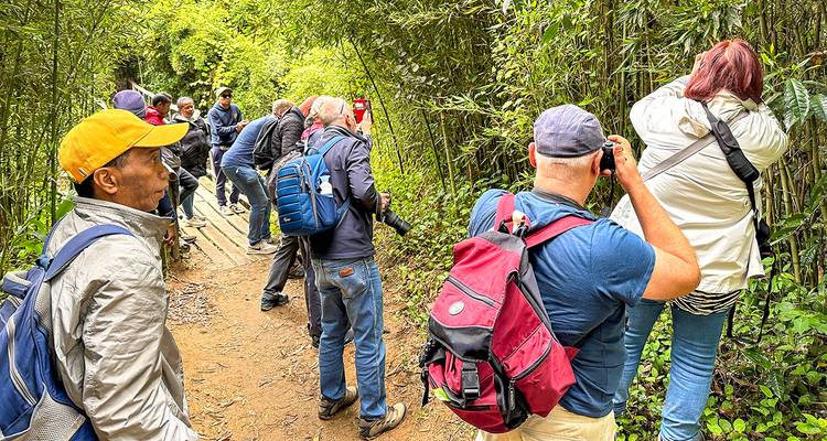 Circuit personnalisé de 11 jours à Madagascar en famille, départ quotidien et jeep privée - Agate Travel 5