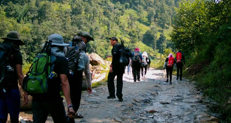 Adventure Bardia Tiger Safari Tour - Amazing Authentic Treks  4
