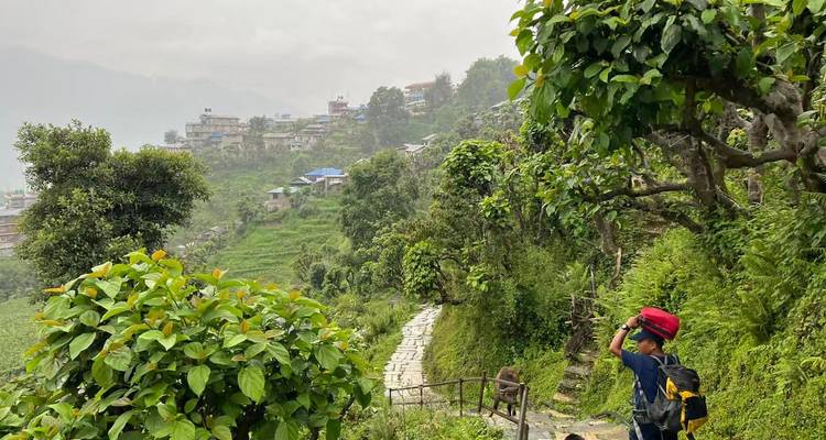Inolvidable Nepal: 19 días de cultura, vida salvaje y ABC - The Dragon Trip 8