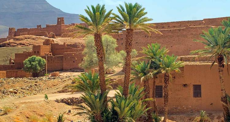 8 jours - Cours de cuisine dans le désert de Zagora et yoga - Morhara Morocco Tours 10