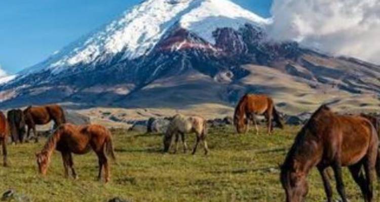 Ecuador Wonders: Highlands and Amazon 10 days - Gulliver Expeditions 9