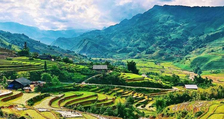 Vue panoramique de champs en terrasses et de collines.