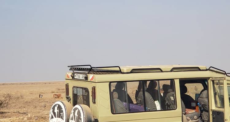 A 3-day flying safari in the Serengeti, commencing from Zanzibar - theKili-Guides 6