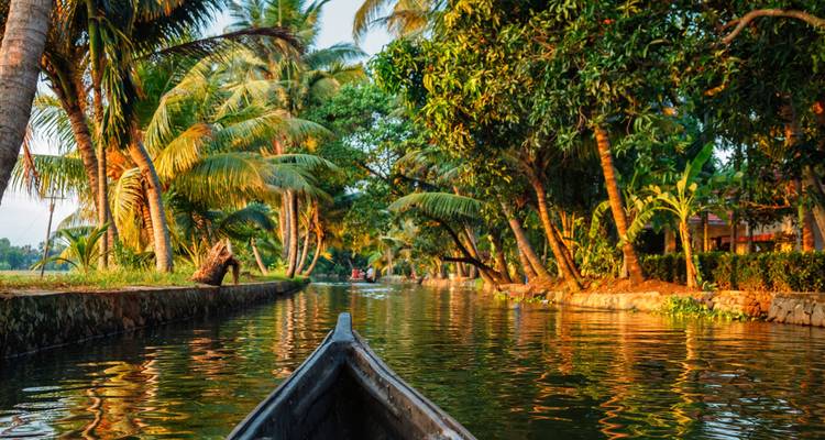 Kanu, die entlang der ruhigen Backwaters von Kerala gleitet, gesäumt von üppigen Kokospalmen im Licht der Abenddämmerung.