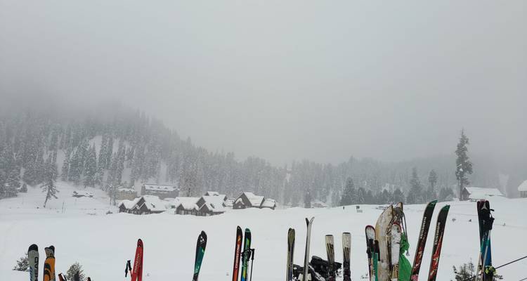 Magical Kashmir Tour - Seven Wonder Tour and Travels 1