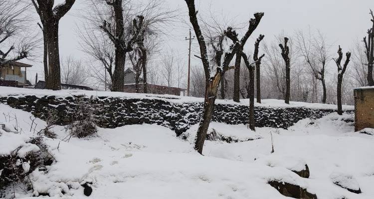 Magical Kashmir Tour - Seven Wonder Tour and Travels 2