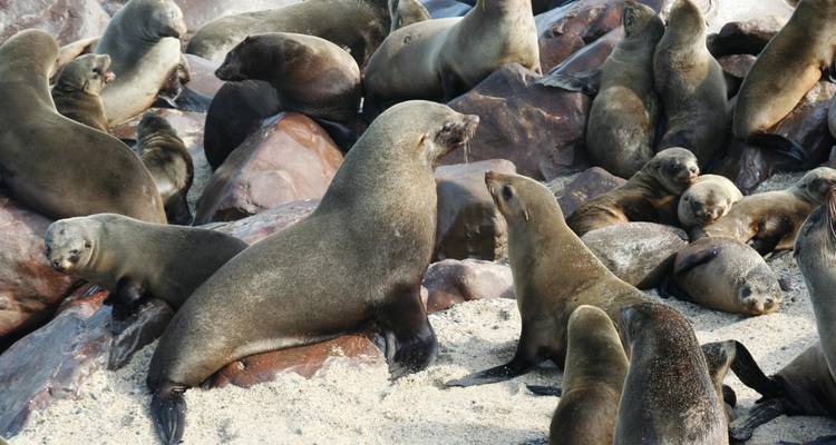 Deserts & Delta Easter Family Overland (Windhoek t - Encounters Travel 6