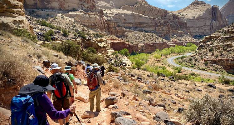 L'Ouest sauvage dans son ensemble (camping) - 11 jours - On The Go Tours 5
