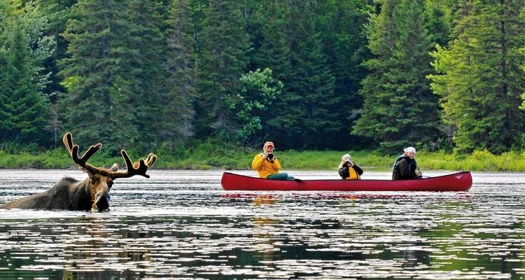 Algonquin by Canoe - Tent - DERTOUR 7