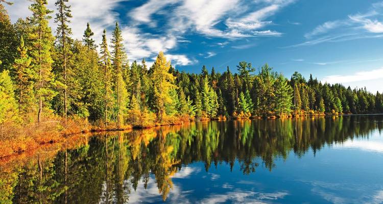 Bosque otoñal vibrante reflejado en un lago tranquilo.