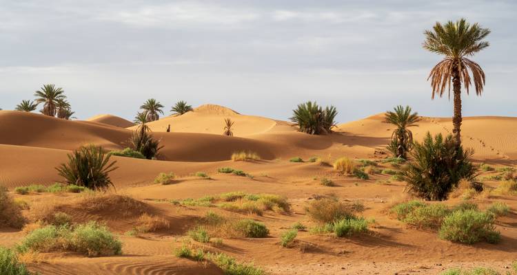 Morocco Desert Tour 6 Days From Agadir To Sahara Desert - MOROCCO DESTINATION 2