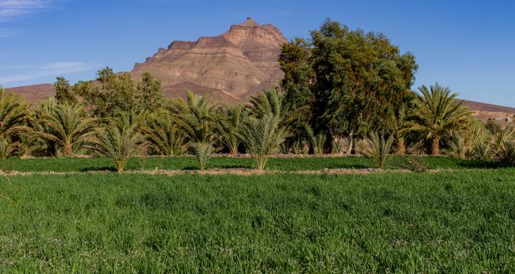 Morocco Desert Tour 6 Days From Agadir To Sahara Desert - MOROCCO DESTINATION 3