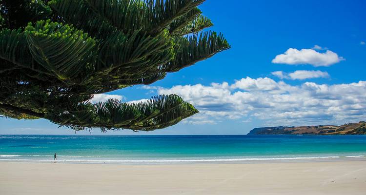 Totalmente Tasmania - 6 días - On The Go Tours 4