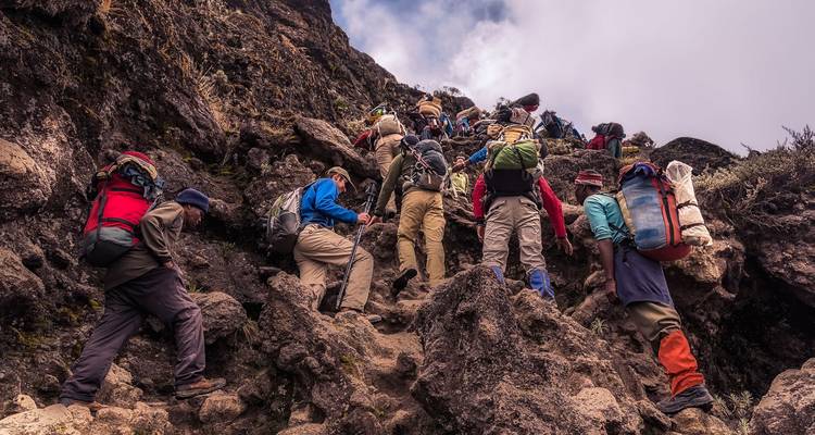 Lo más destacado del Trekking de 8 días por la Ruta Lemosho del Kilimanjaro - Nature Safari 9