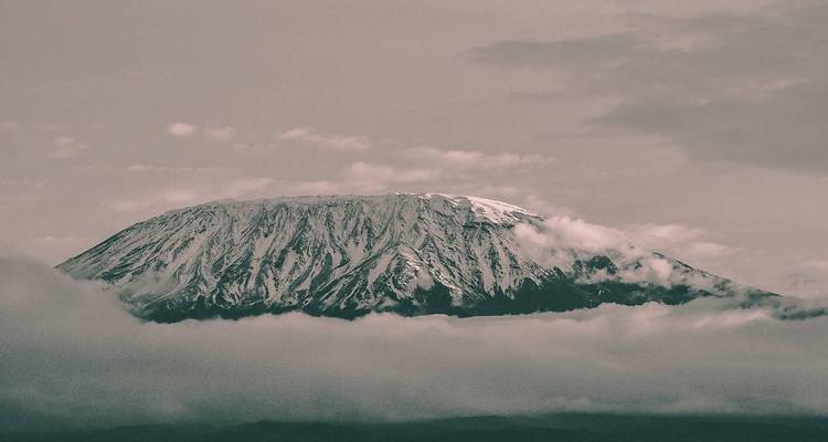 Lo más destacado del Trekking de 8 días por la Ruta Lemosho del Kilimanjaro - Nature Safari 1