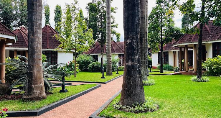 Lo más destacado del Trekking de 8 días por la Ruta Lemosho del Kilimanjaro - Nature Safari 6