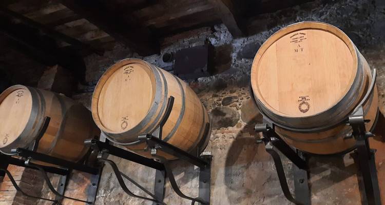 Tonneaux en bois empilés dans un environnement de cave à vin intérieure.