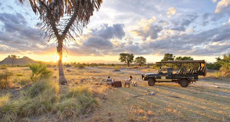 Véhicule de safari sous un arbre avec des personnes pique-niquant au coucher du soleil.