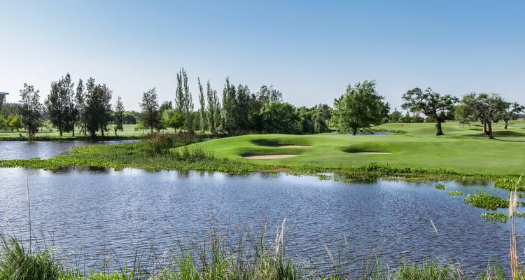 Malerische Aussicht auf einen Golfplatz mit einem Wasserelement und Bäumen.