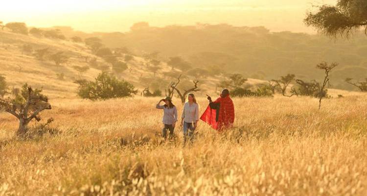 【Kenya】6 Days Superior Safari Tour Packages - Delightful Travel 8