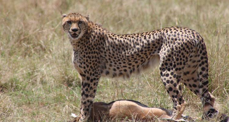 7 Days Luxury Grp Joining- Fixed Departure Dates - Samson's Safaris 2