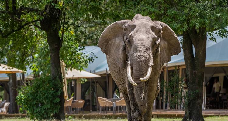 7 Days Luxury Grp Joining- Fixed Departure Dates - Samson's Safaris 6