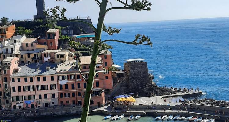 Florencia: El corazón de la Toscana y Cinque Terre 2025 - 8días/7noches - RANIERI TOUR OPERATOR 9