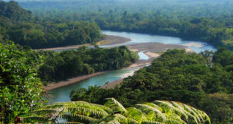 Ecuador complete experience Highlands, Amazon & Galapagos - 15 days - Gulliver Expeditions 7