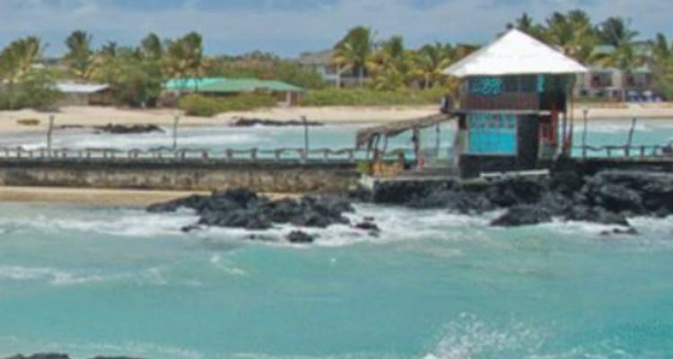 Ecuador complete experience Highlands, Amazon & Galapagos - 15 days - Gulliver Expeditions 9