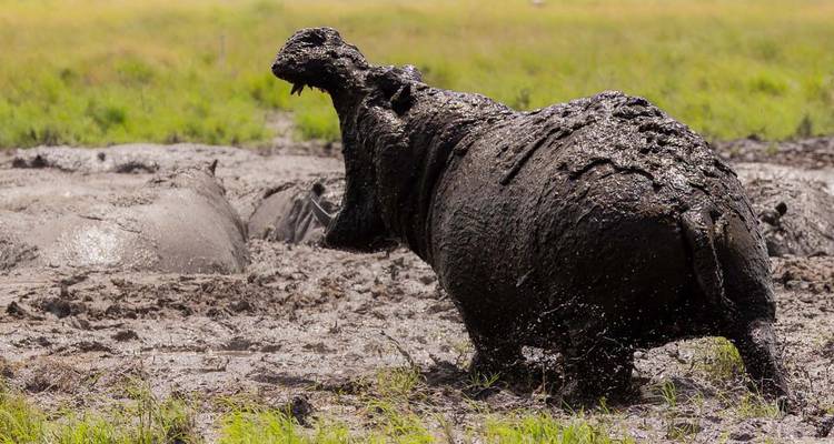 3 Day Maasai Mara Group Joining-Fixed Departure Dates - Samson's Safaris 8
