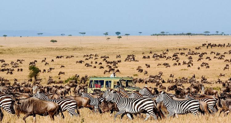 Safari exclusivo de 9 días a los Cinco Grandes de Tanzania *Migración de ñus *Incluido - Nature Safari 1