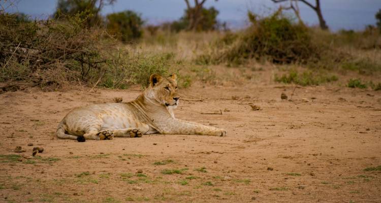 4 días en Naivasha y Amboseli - Fechas de salida fijas - Samson's Safaris 6