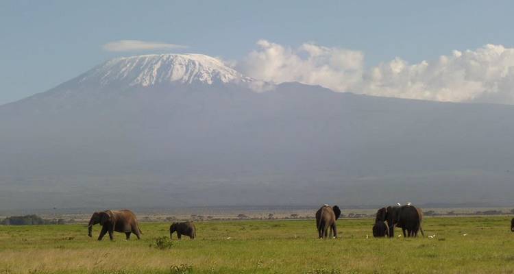 4 días en Naivasha y Amboseli - Fechas de salida fijas - Samson's Safaris 3