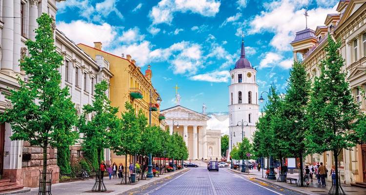 Vilnius straatbeeld met kathedraal en gebouwen.